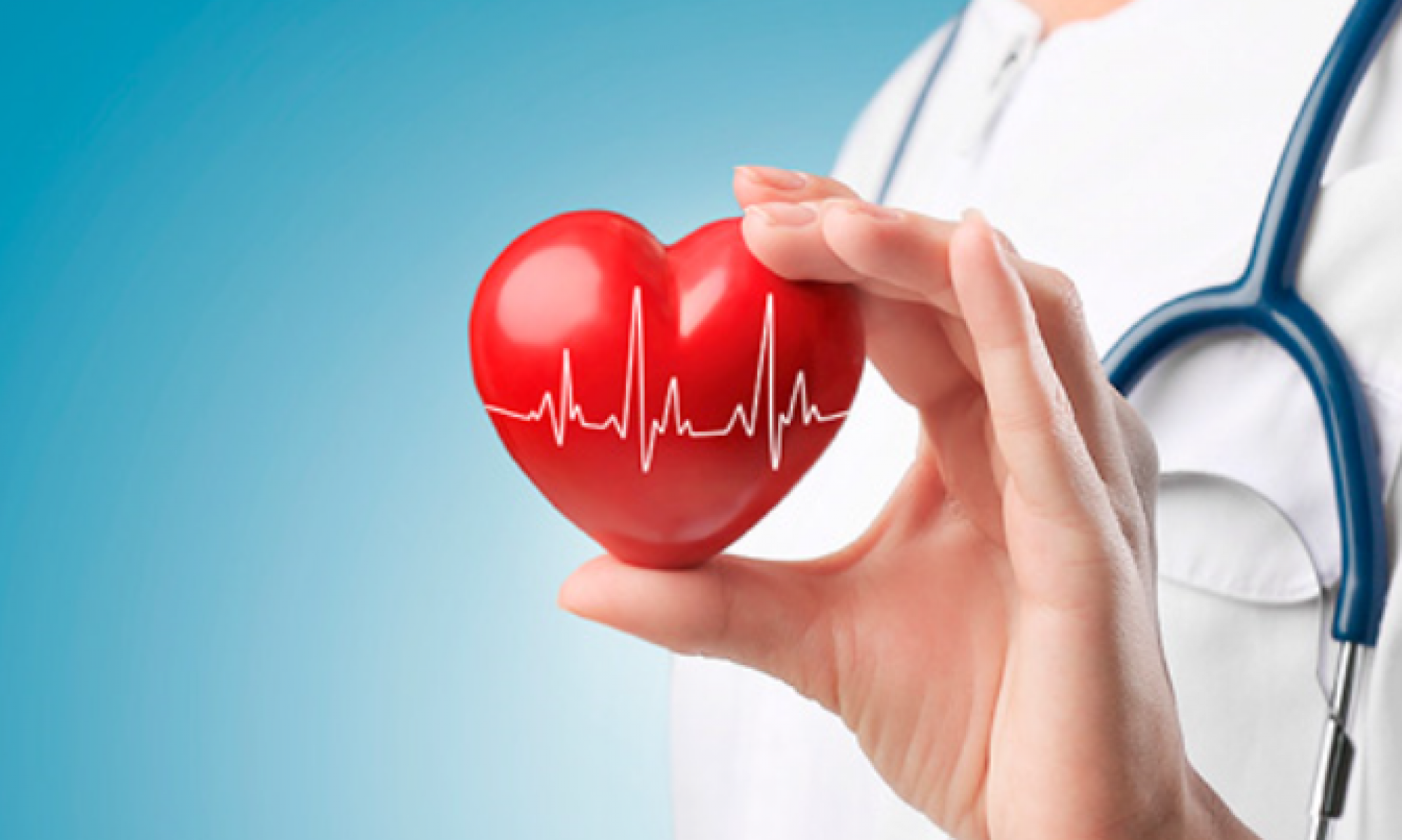 Holter ECG
